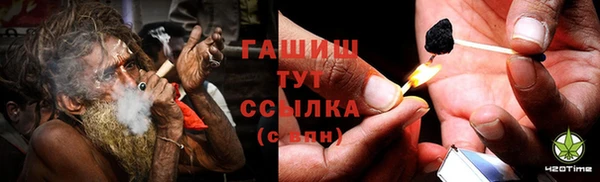 индика Бугульма