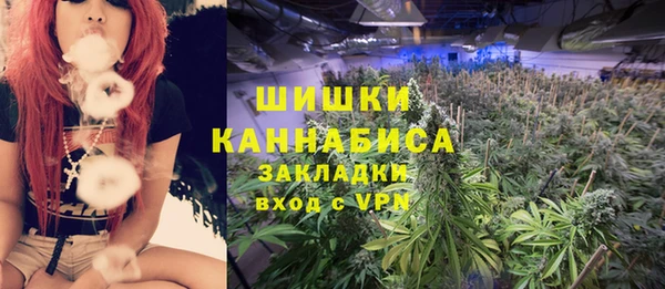 индика Бугульма
