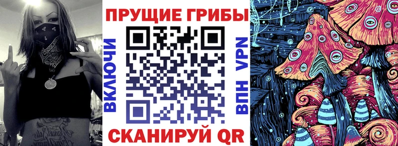 Галлюциногенные грибы Magic Shrooms Купить Курлово
